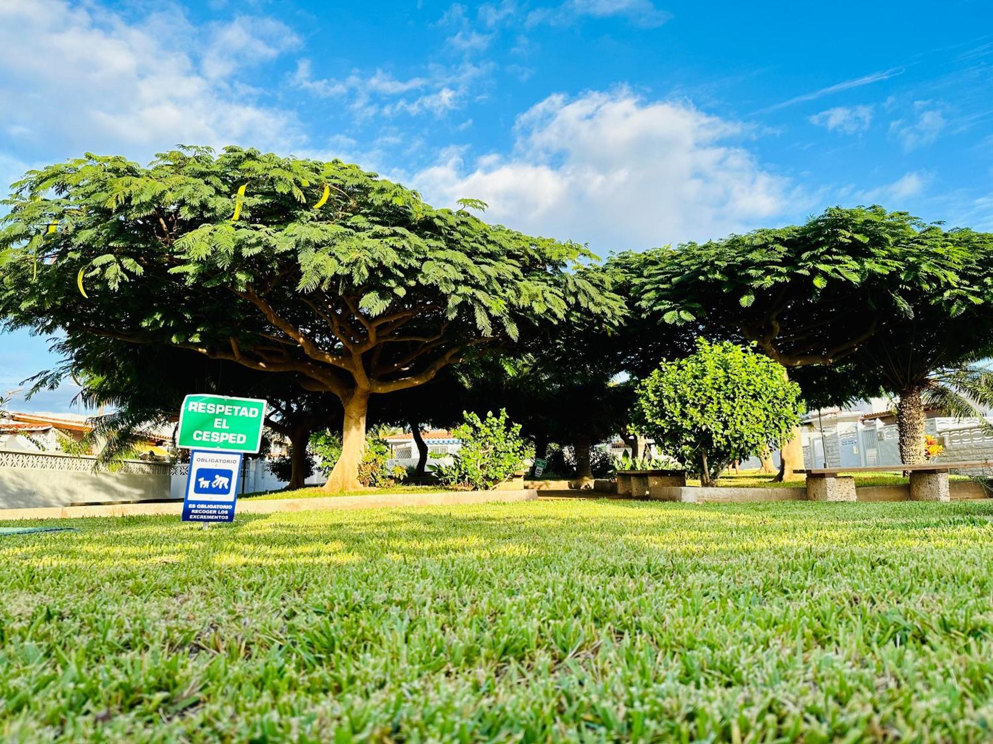 ארונה Casa Una Bungalow Delux מראה חיצוני תמונה