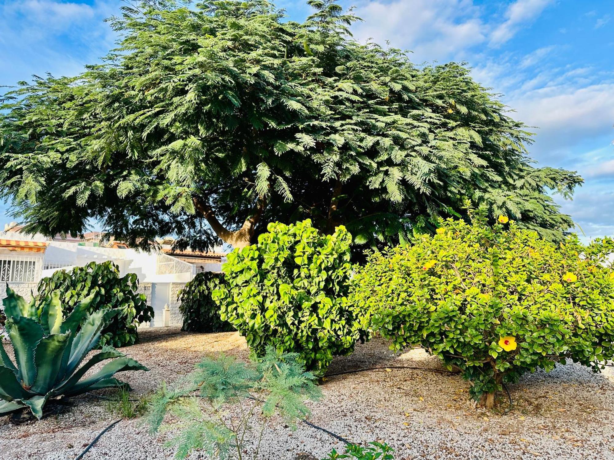 ארונה Casa Una Bungalow Delux מראה חיצוני תמונה