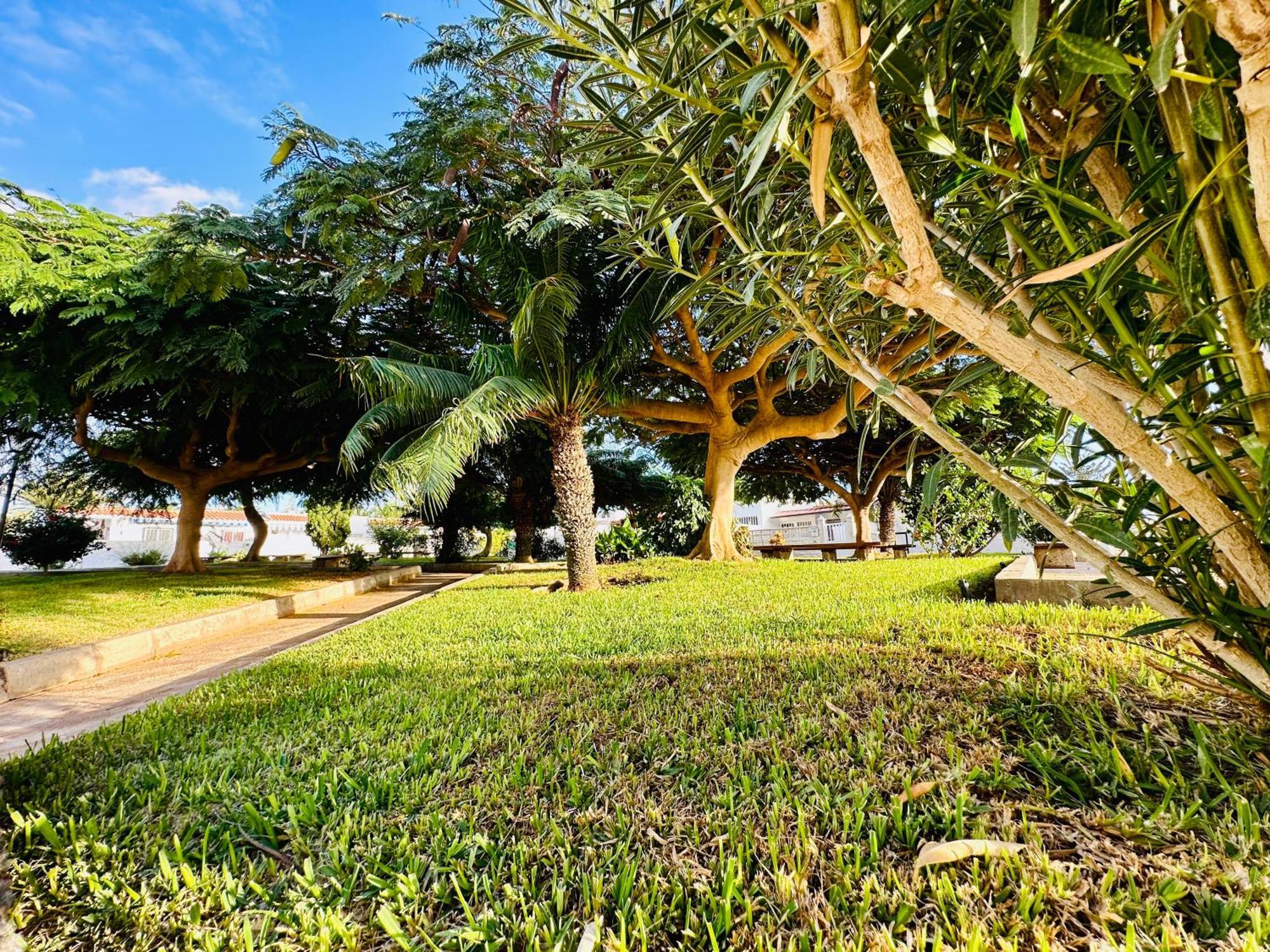ארונה Casa Una Bungalow Delux מראה חיצוני תמונה